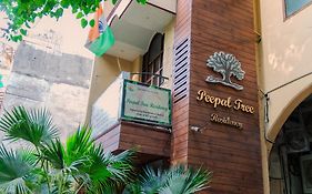 Peepal Tree Residency